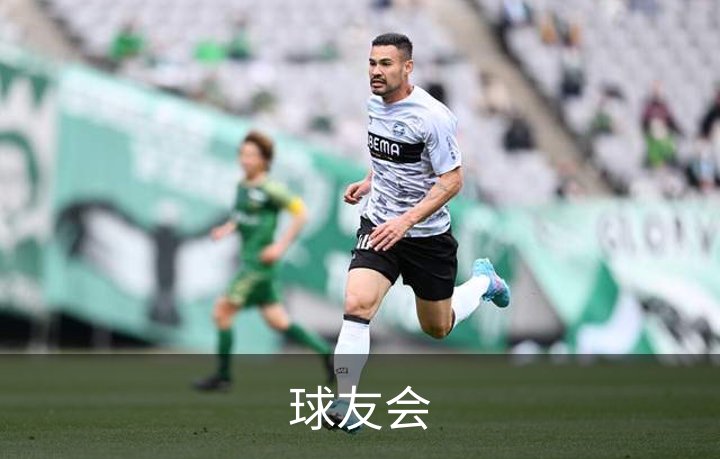 球友会简介